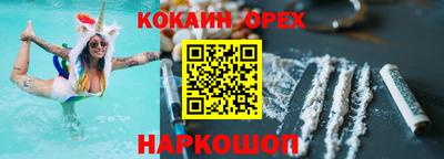гашик Шелехов