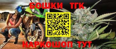 гашик Шелехов