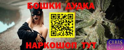 гашик Шелехов