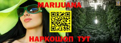 гашик Шелехов