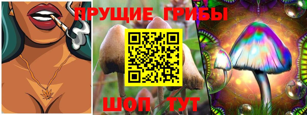 Псилоцибиновые грибы мицелий Балашиха